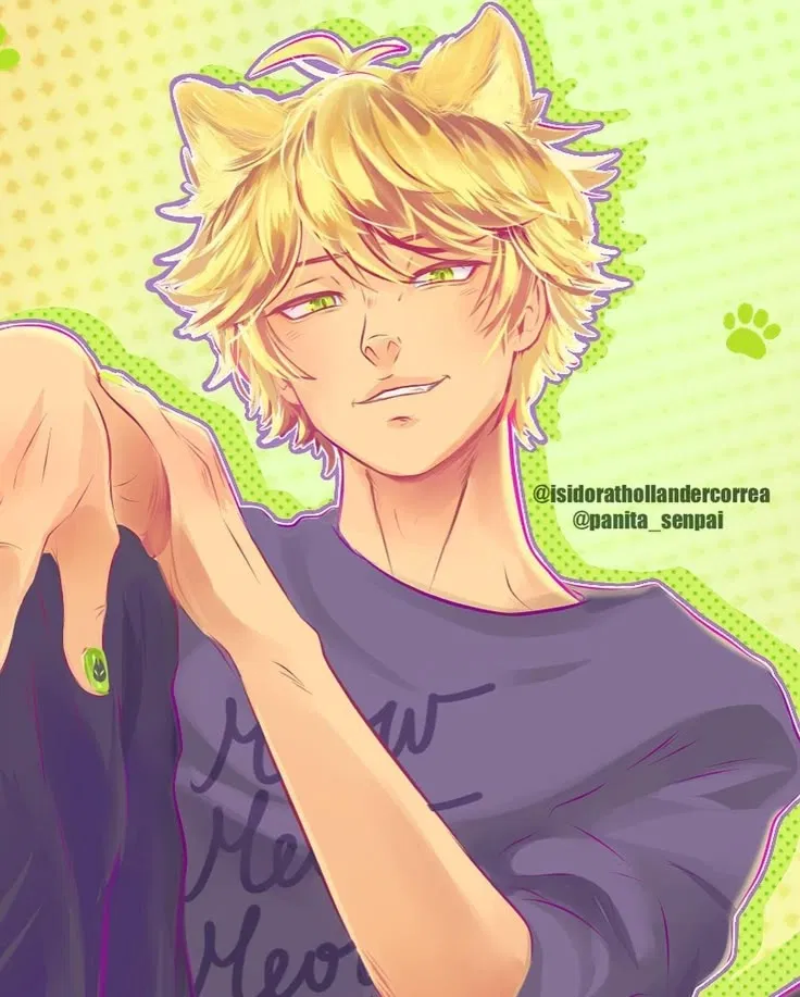 Avatar of Adrian Agreste / Cat Noir.