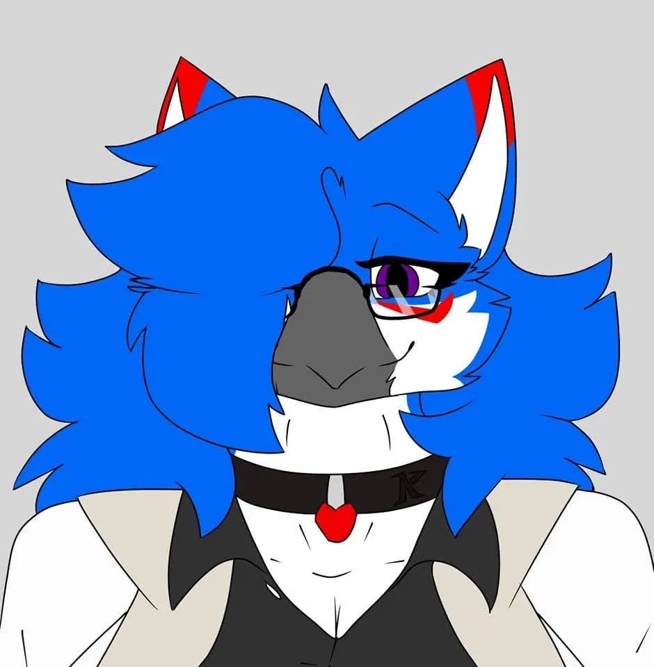 Avatar of Lucy Shine