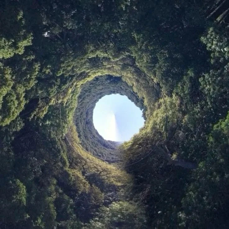 Avatar of Wonderland