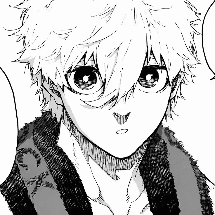 Avatar of nagi seishiro