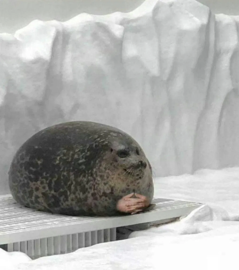 Avatar of Bobby  The Chill Advice Seal