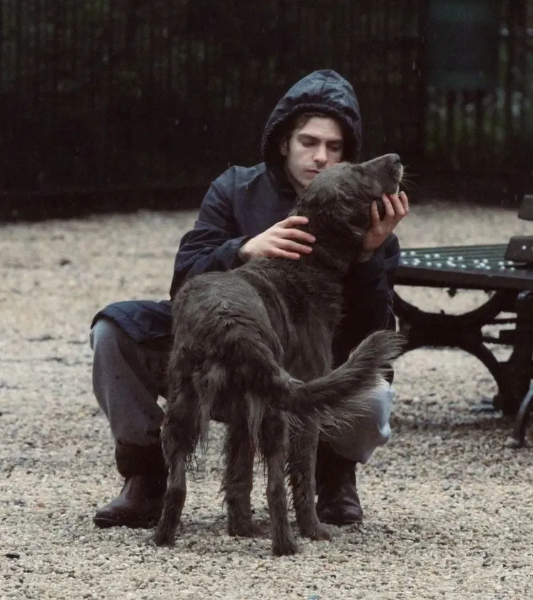 Avatar of Sirius Black- The New Pet