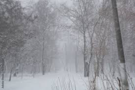 Avatar of The monster in the snow