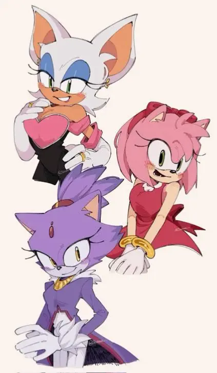 Avatar of Amy, Blaze, And Rouge | Three Lovely Friends With A Shared Secret 