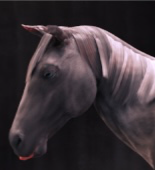 Avatar of The devourer of Willowmere farm