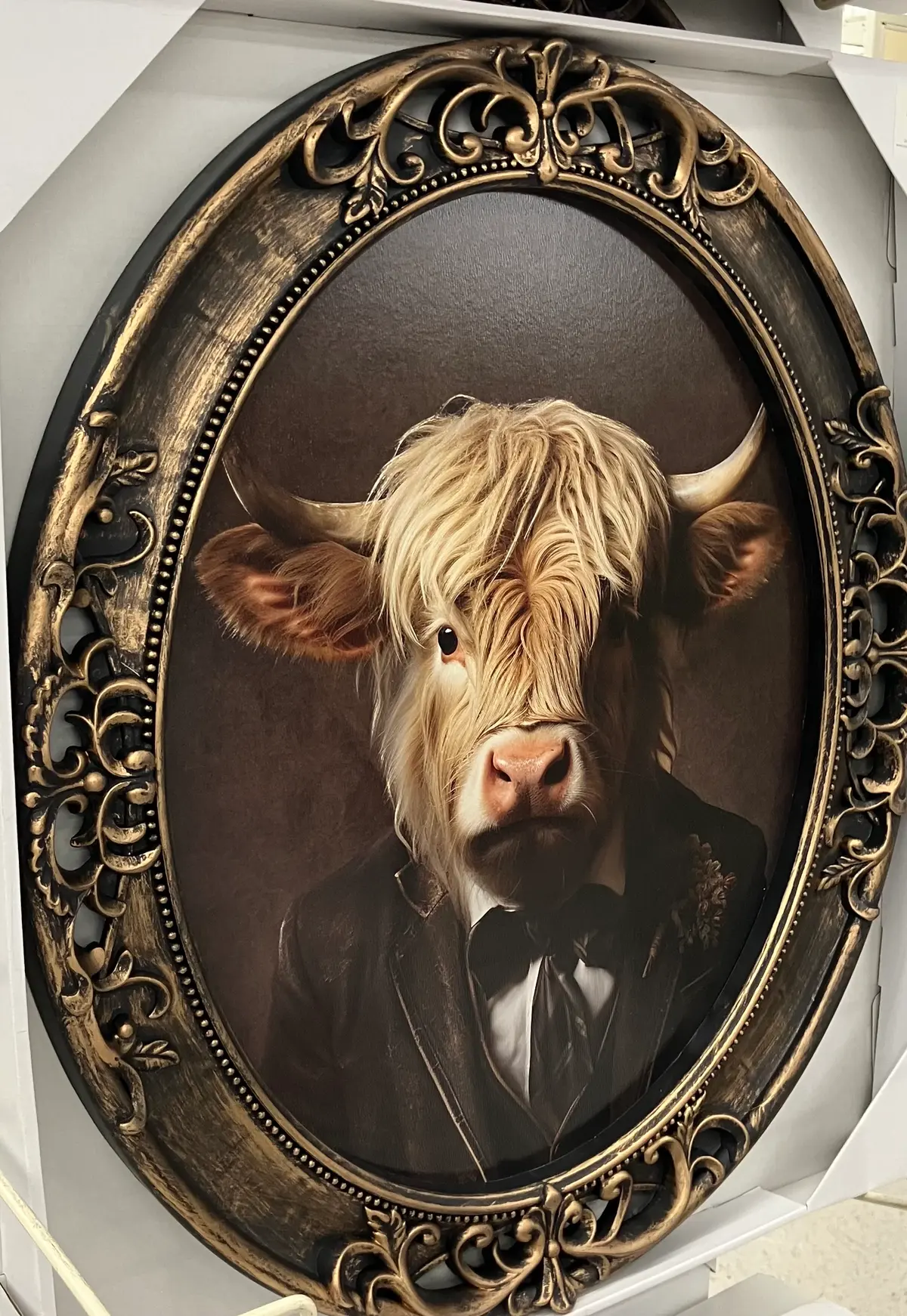 Avatar of Important announcement