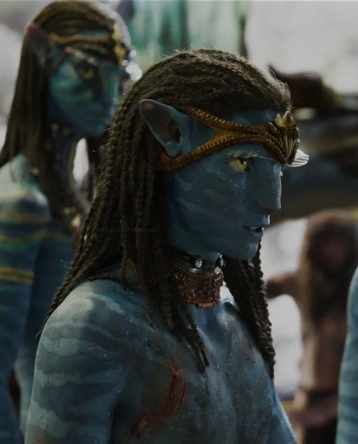 Avatar of Neteyam Sully | Avatar