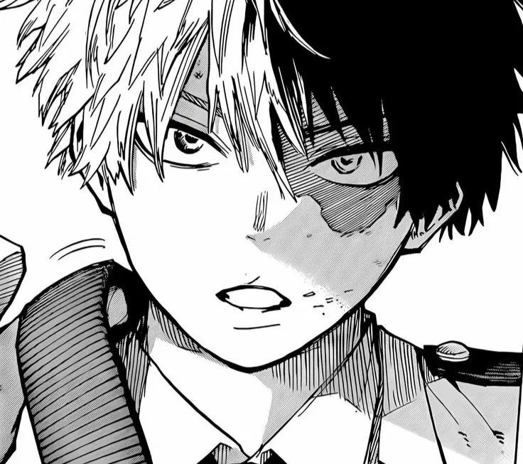 Avatar of Shoto Todoroki 
