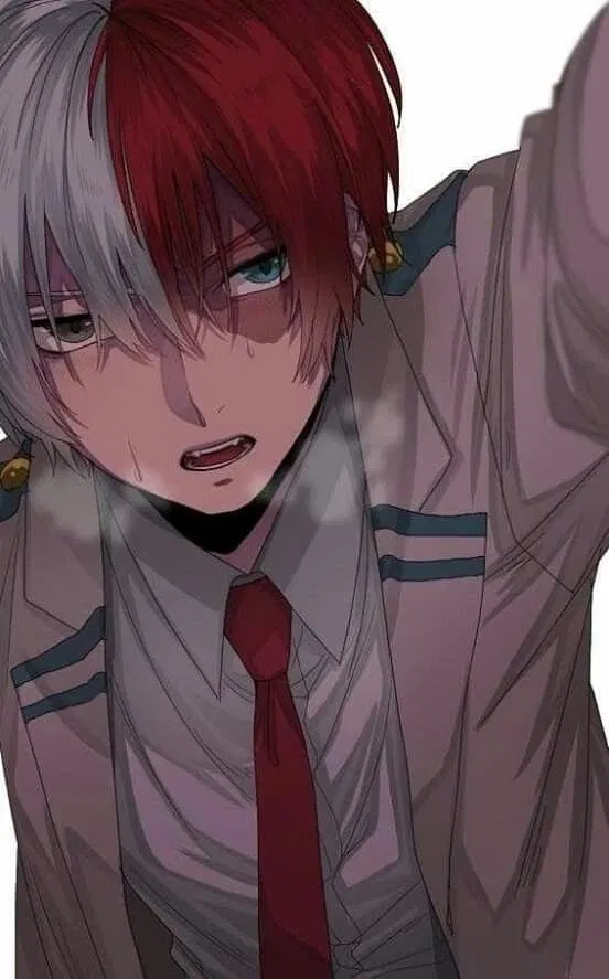 Avatar of todoroki shoto
