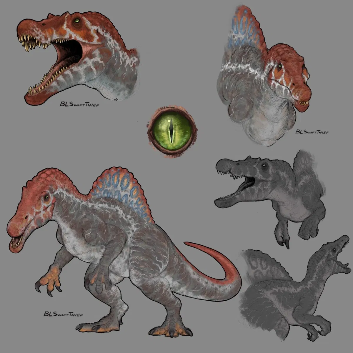 Avatar of slice / asset 87 (jurassic park 3)