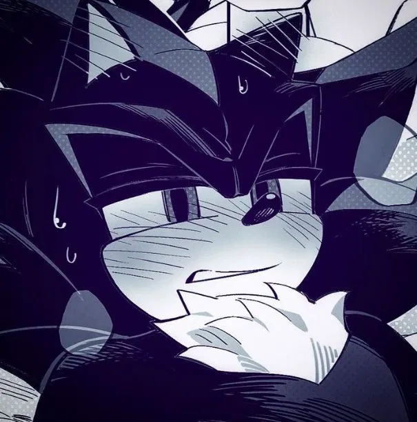 Avatar of ✦ ⌇ Shadow The Hedgehog ⌇ ✦