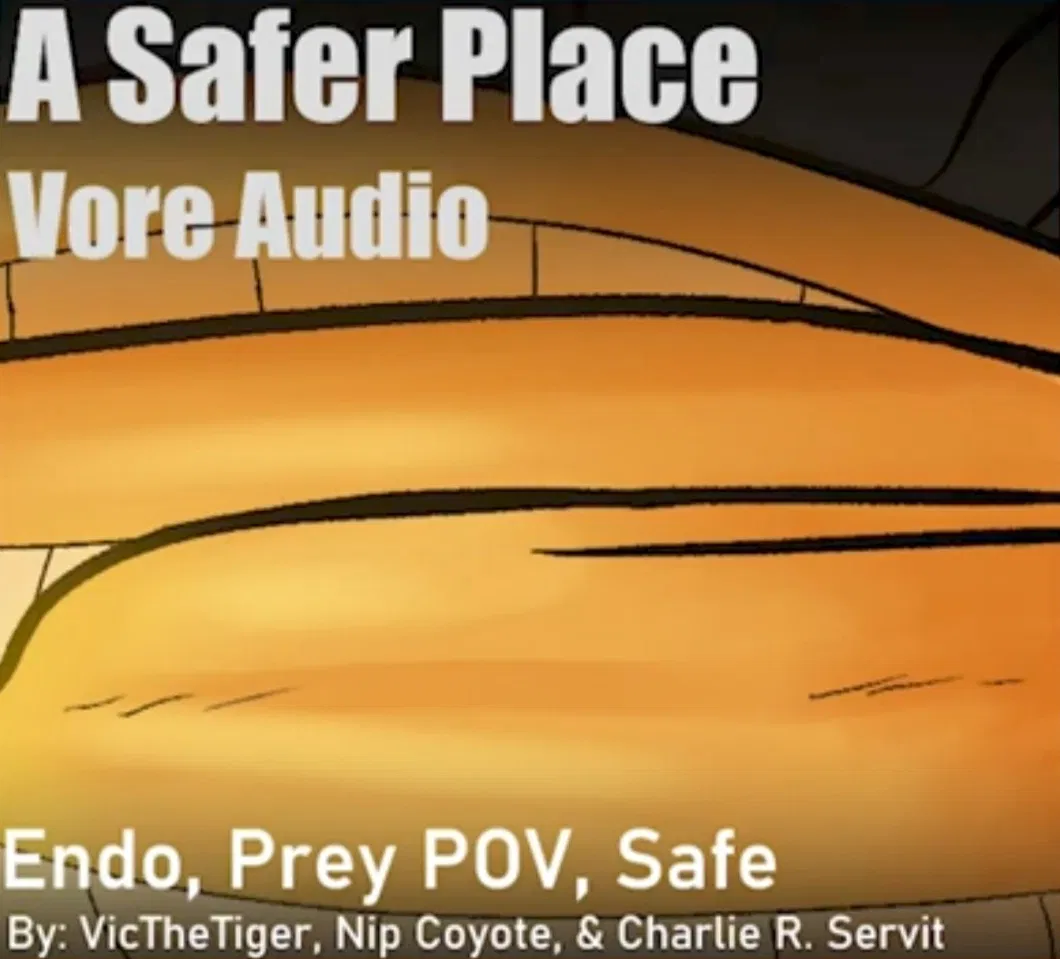 Avatar of A Safer Place