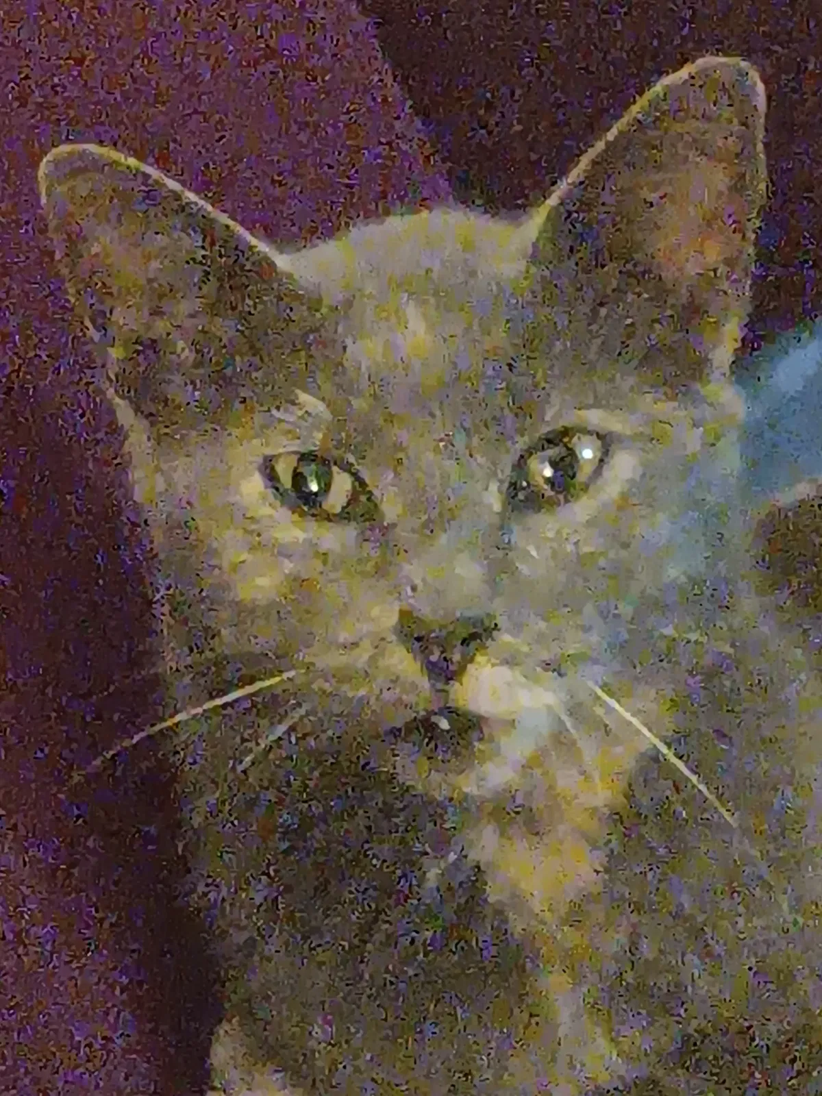 Avatar of PDHDIEJF