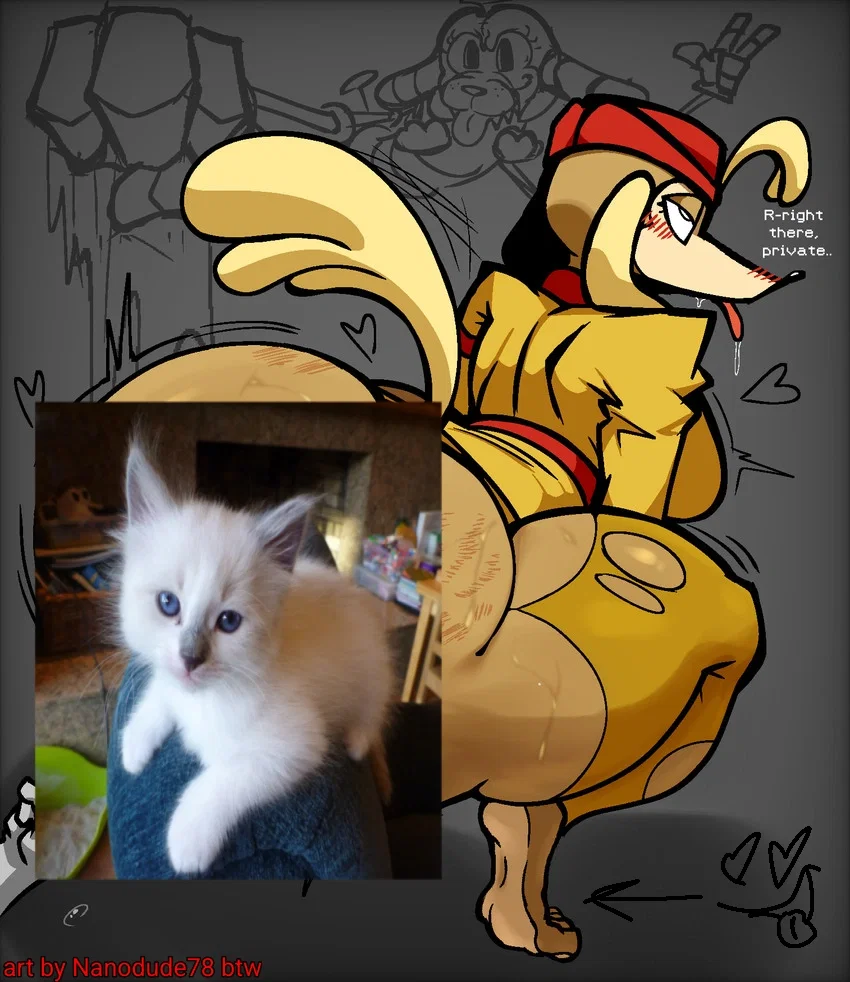 Avatar of Sergeant O'Fera / Captain Saluki
