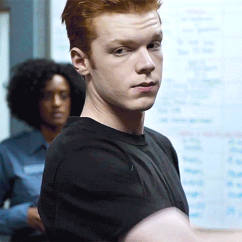 Avatar of Shameless - Netflix 