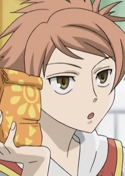 Avatar of Hikaru Hitachiin