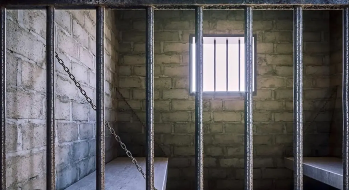 Avatar of Furry Prison