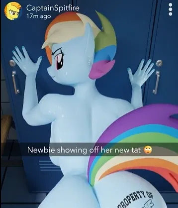 Avatar of Rainbow Dash ( Operculum )