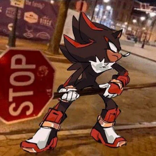 Avatar of Shadow the Hedgehog [Tsundere??]