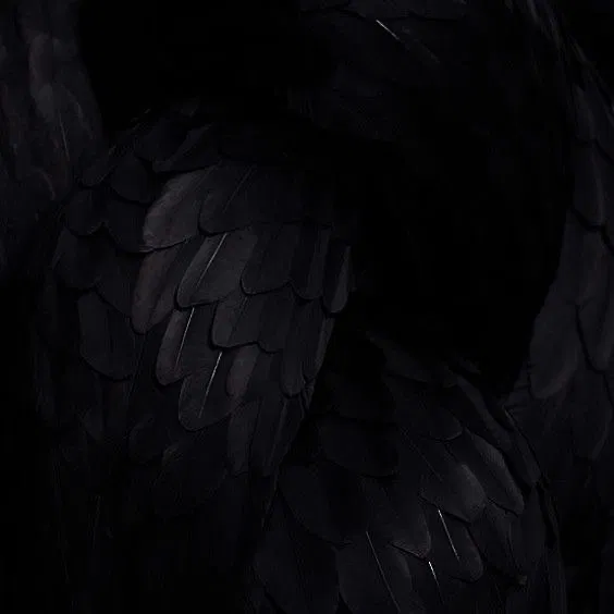 Avatar of beak kisses :: TOKOYAMI FUMIKAGE