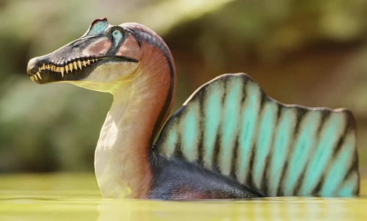 Avatar of Spinosaurus Aegyptiacus