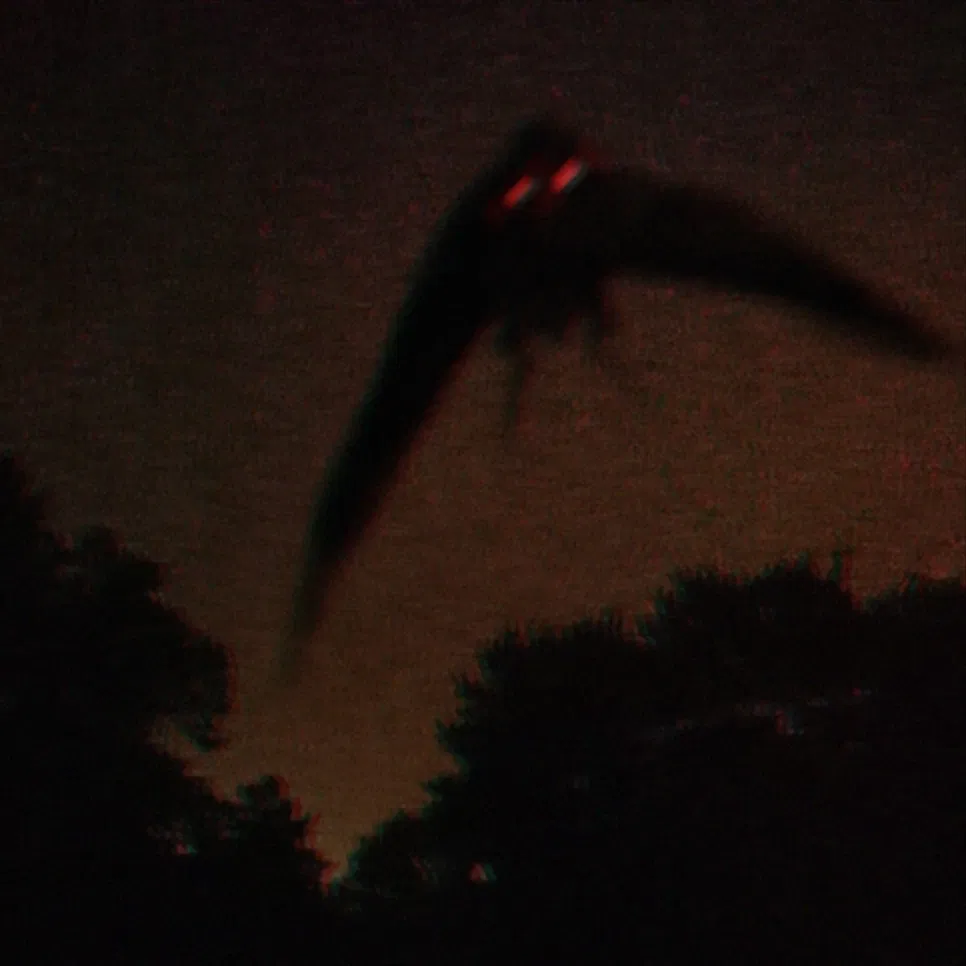 Avatar of mothman