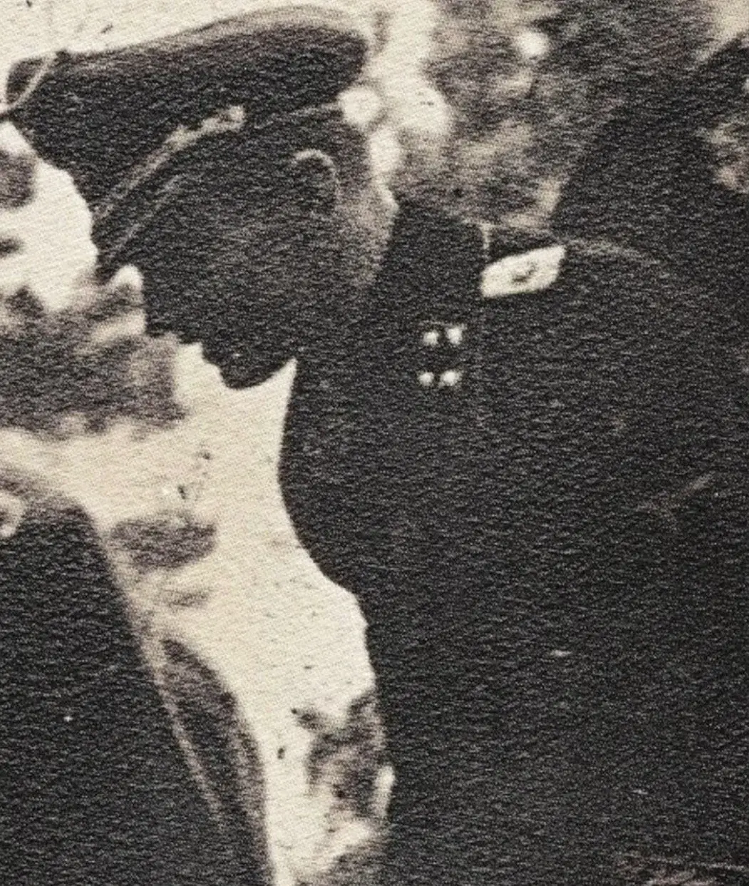 Avatar of German officers