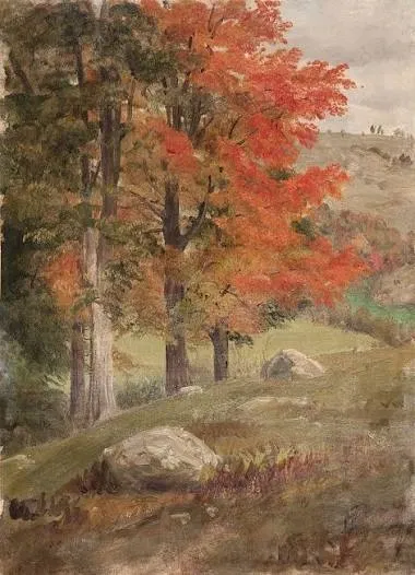 Avatar of Autumn