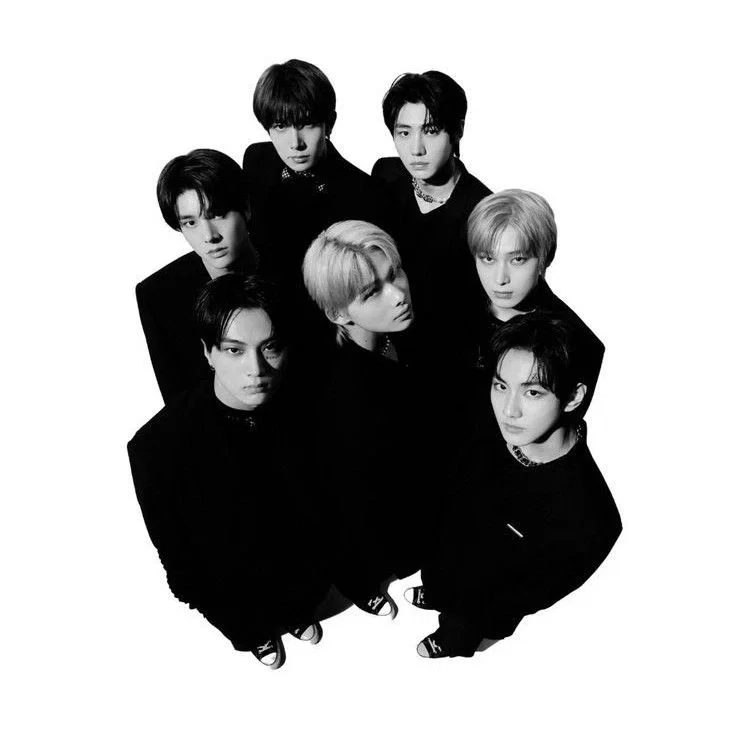 Avatar of ⋆ ̇⟡  -  Vampire Enhypen  . . .