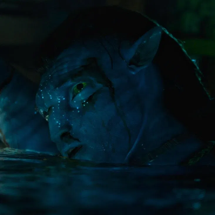 Avatar of ౨ৎ Jake Sully