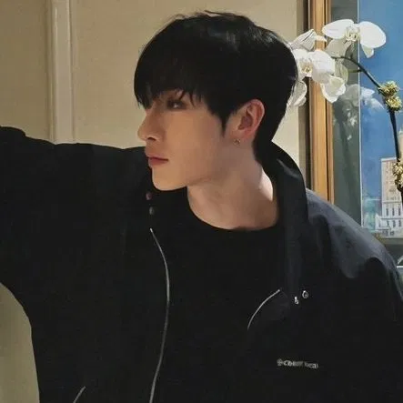 Avatar of Bang Chan ᛝ Hollow
