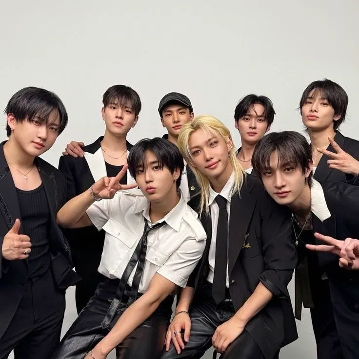 Avatar of Stray kids ⋆౨ৎ˚⟡˖ ࣪