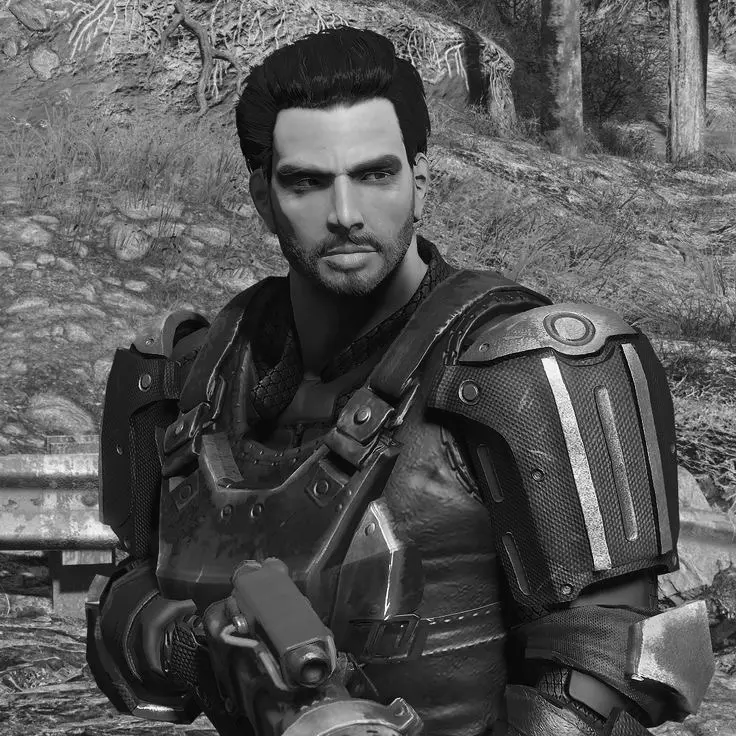 Avatar of Paladin Danse