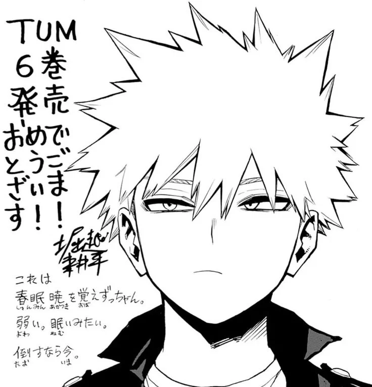 Avatar of Katsuki Bakugo | 💥