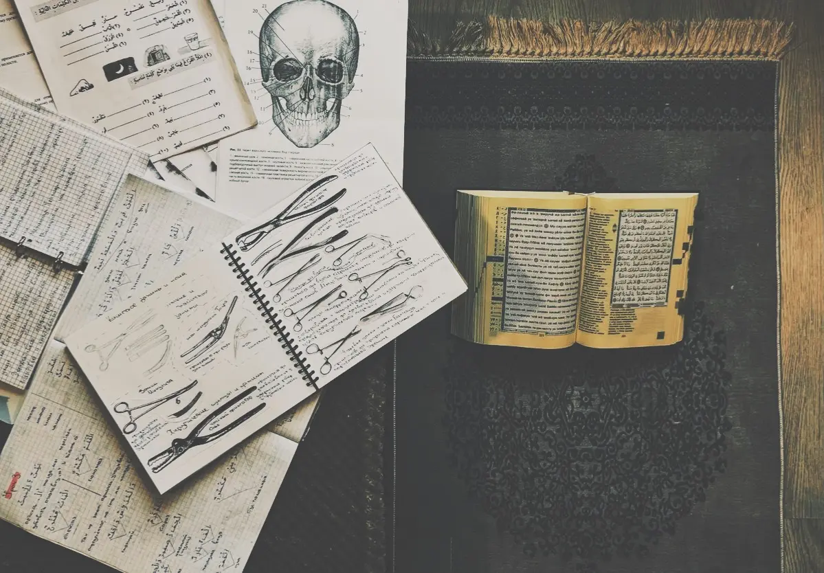 Avatar of young poppy pomfrey