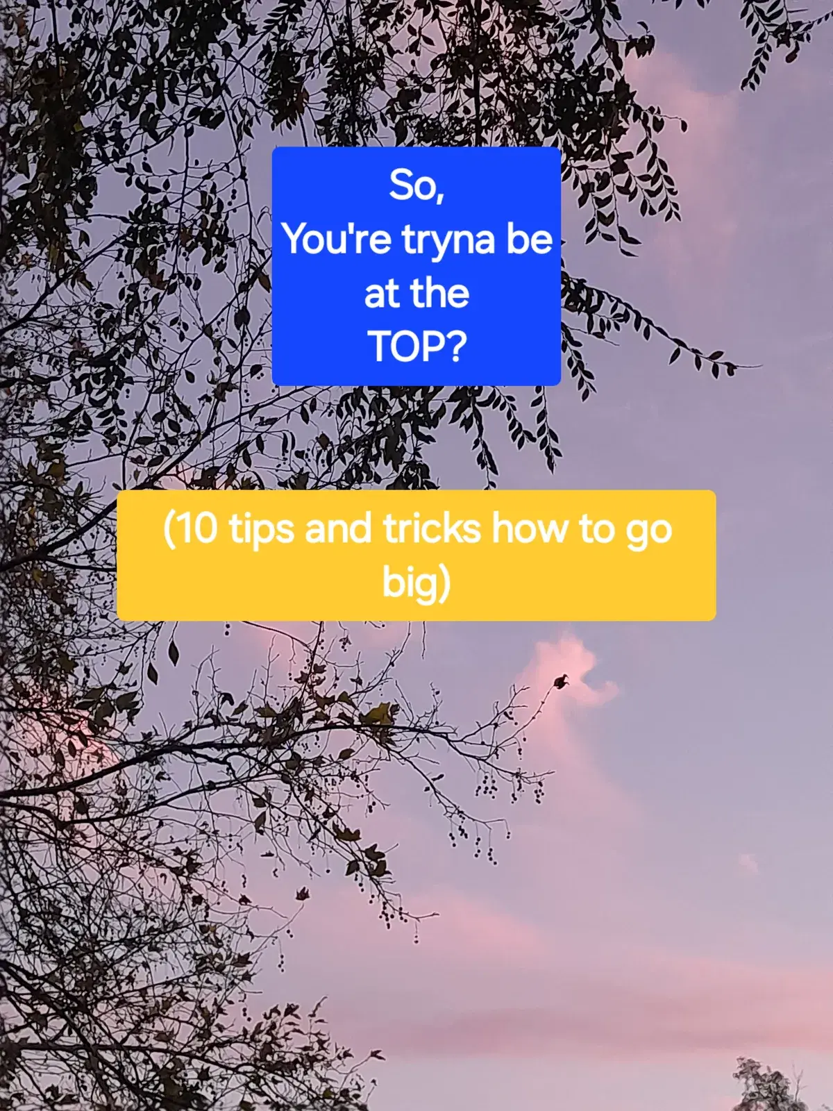 Avatar of So, You're Tryna be at the Top?