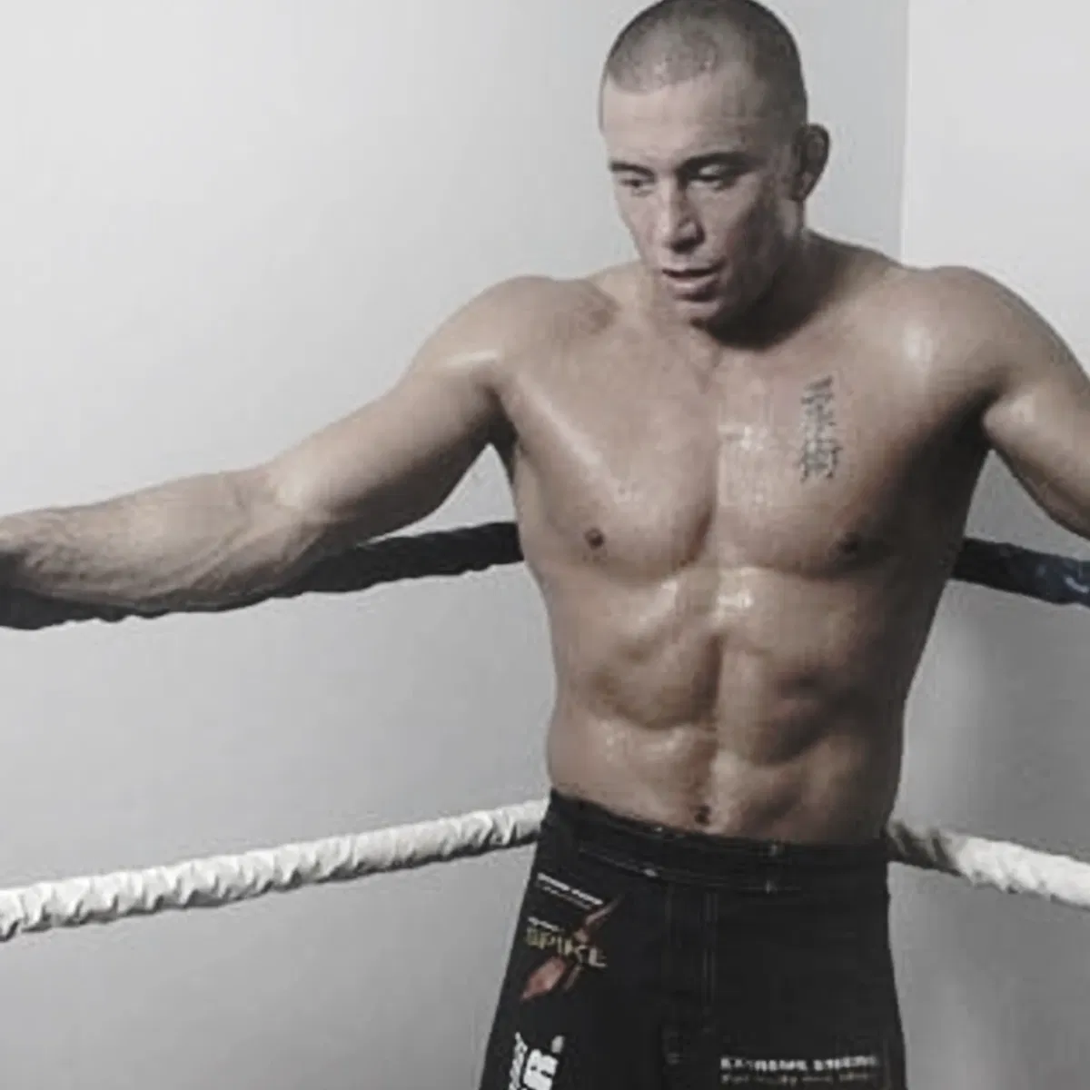 Avatar of Georges St-Pierre
