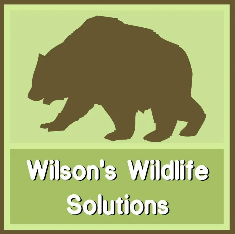 Avatar of Wilson's Wildlife Solutions (anomaly user)