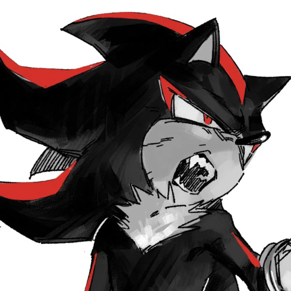 Avatar of  ̊+۶ৎ ̇⋆ Shadow The Hedgehog