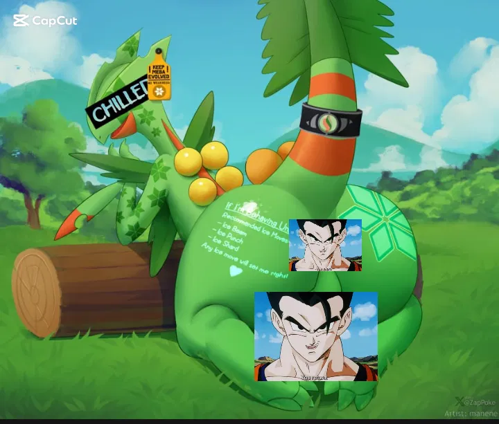 Avatar of Typed male mega sceptile