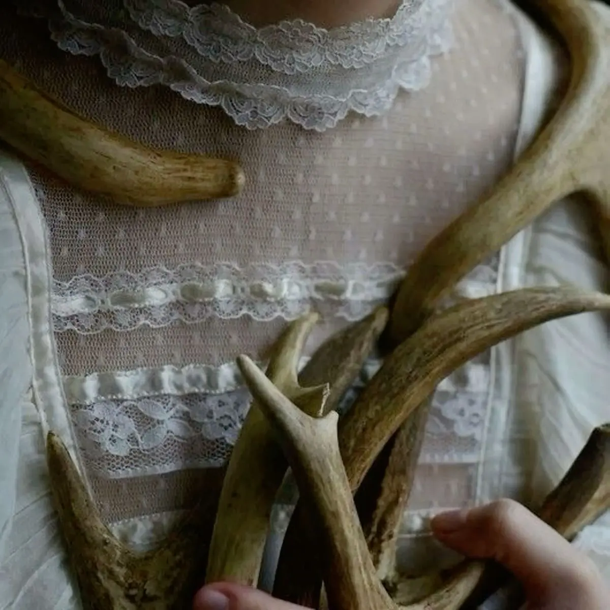 Avatar of lottie matthews