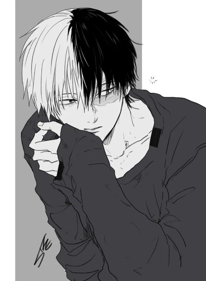 Avatar of Todoroki shoto