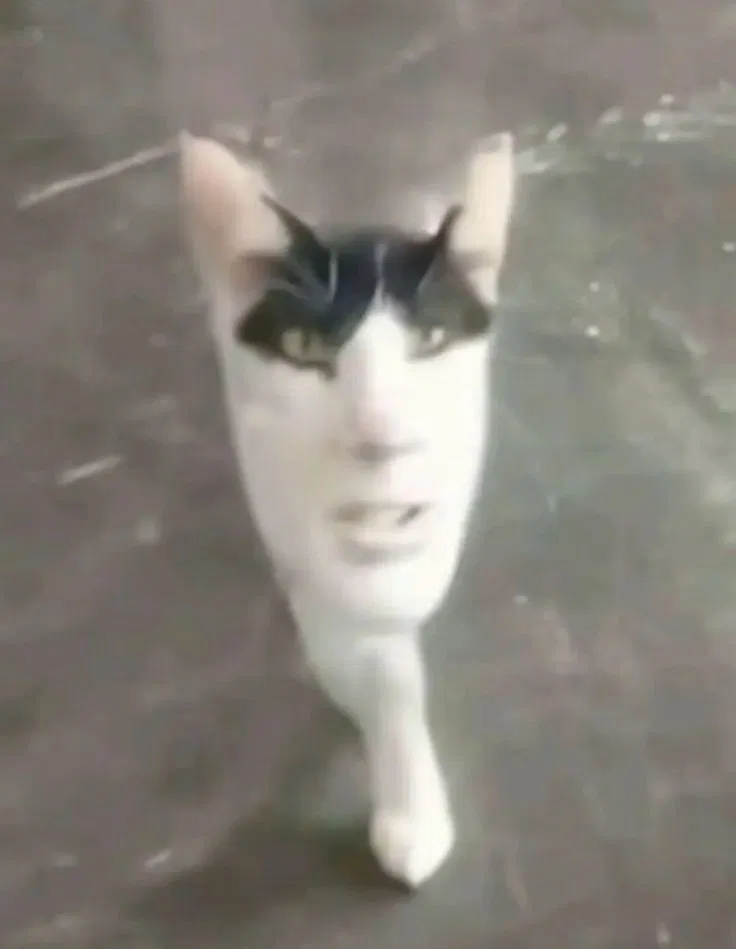 Avatar of Andrija