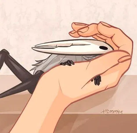 Avatar of 🪲🤍|Hollow [Hollow Knight]🤍🪲