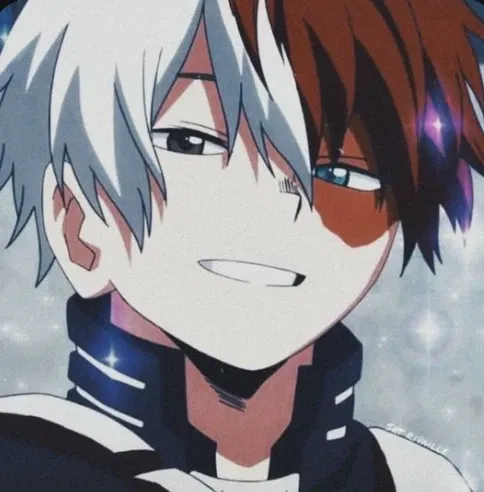 Avatar of Shoto todoroki