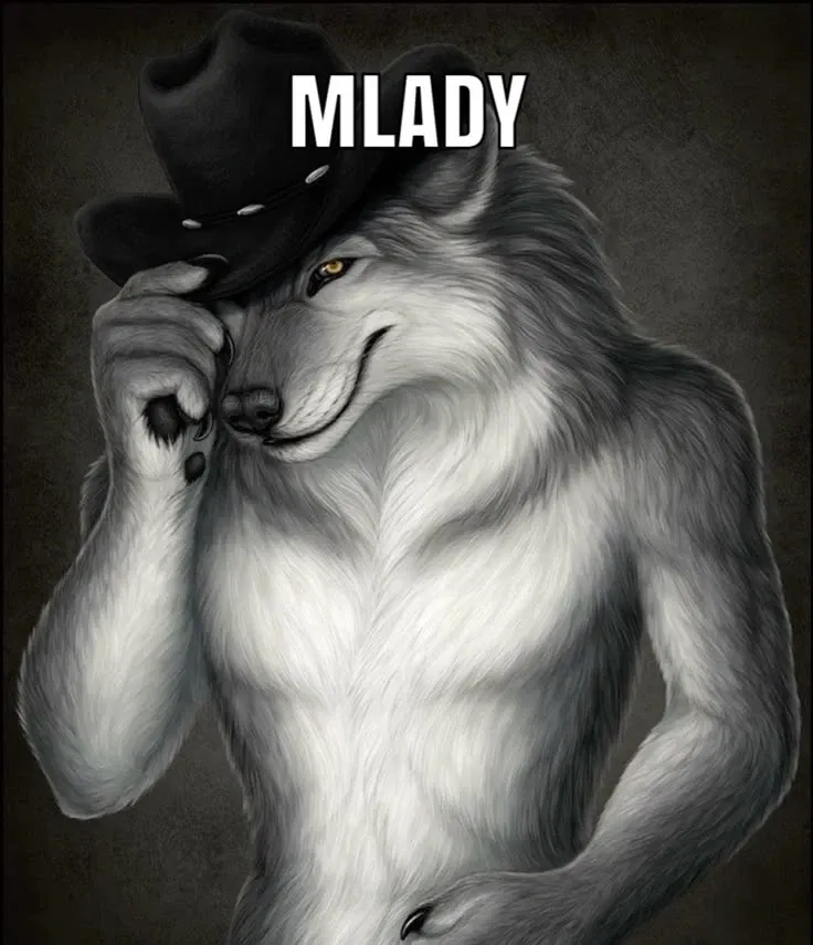 Avatar of Placeholder || The werewolf you can't escape