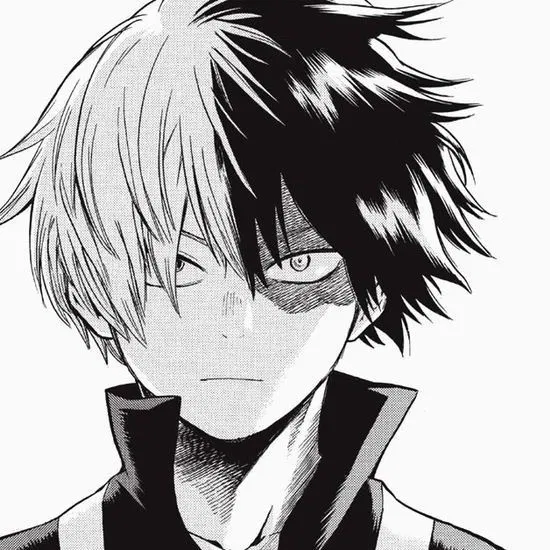 Avatar of ❅ Shoto Todoroki ঌ