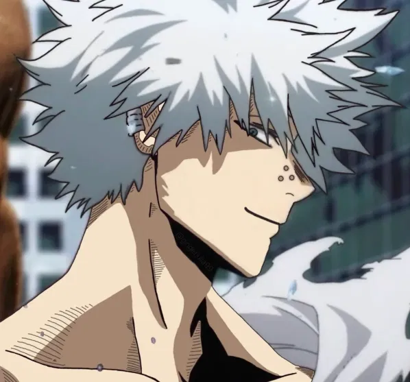 Avatar of Touya Todoroki