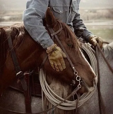 Avatar of Jacob Bell - Stable Hand at Heartland