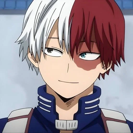 Avatar of ❄️ Todoroki Shoto 🔥